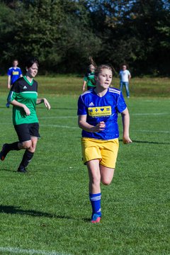 Bild 54 - Frauen TSV Gnutz - TuS Heidm�hlen : Ergebnis: 2:2